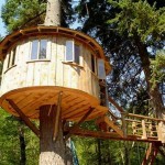 Circular Tree House Plans