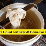 How To Make Liquid Fertilizer For Houseplants At Home Recipe