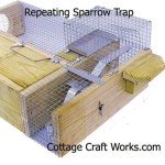 Repeating House Sparrow Trap Plans